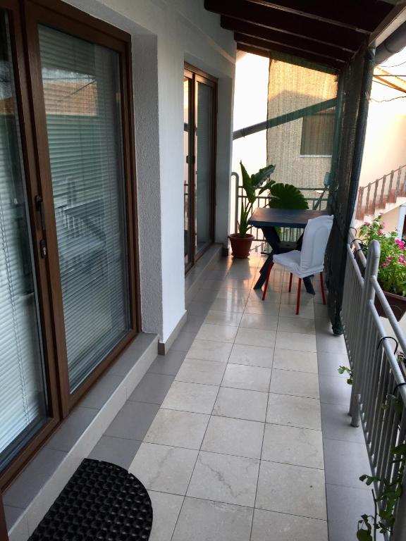 Hostel Lega House