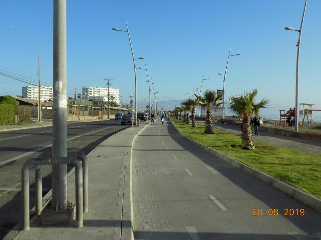 Hermoso departamento a pasos de avenida del mar - 3