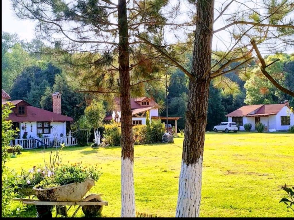 Cabañas los cactus 2, Huasca de Ocampo