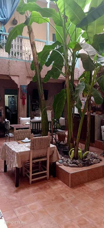 Riad Dar Mchicha photo