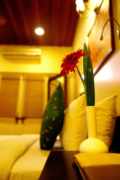 Tea Bungalow photo