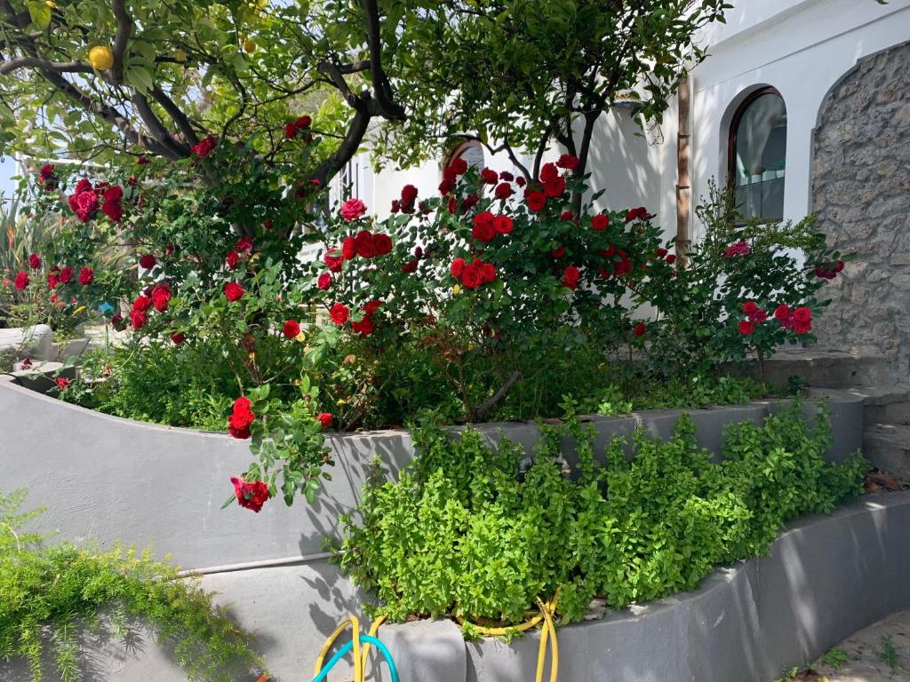 Villa Pina 전경