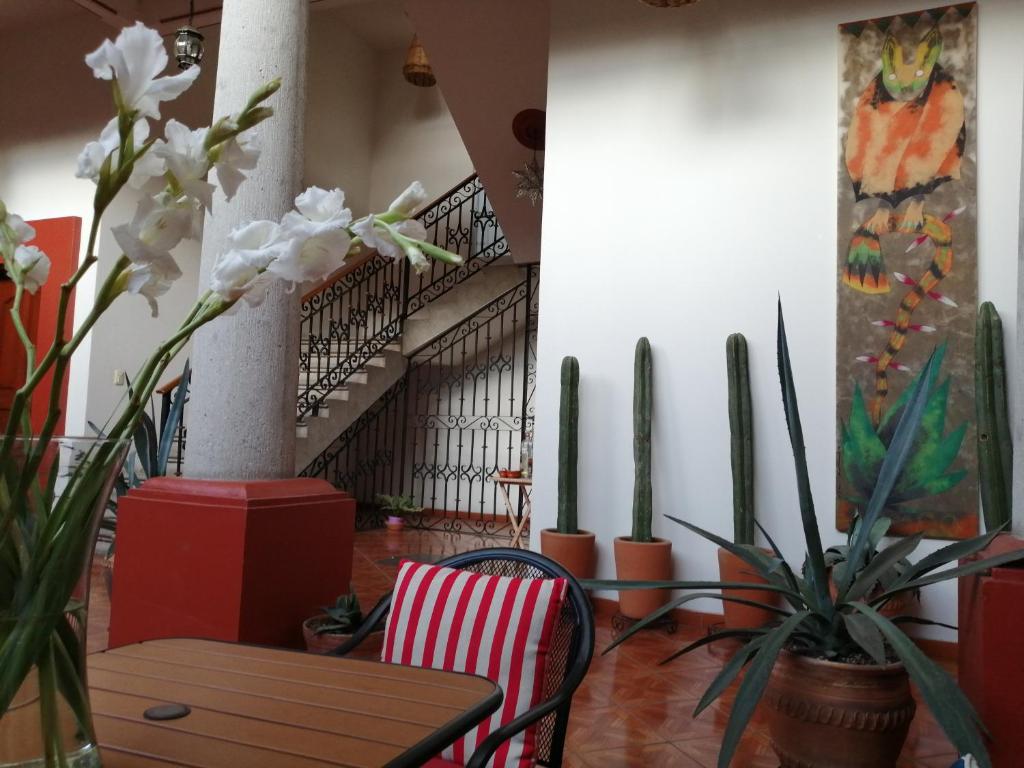Casa Agave Oaxaca - 3