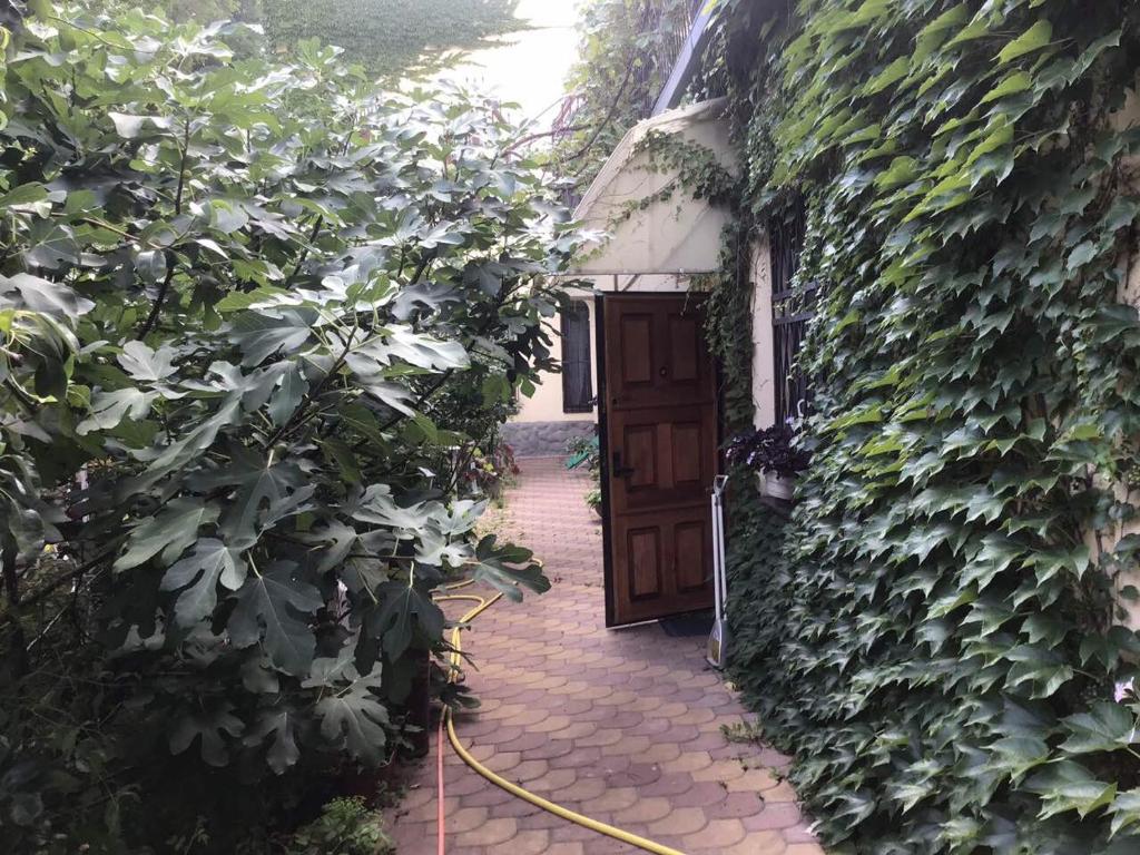 Guest House Kostandi photo
