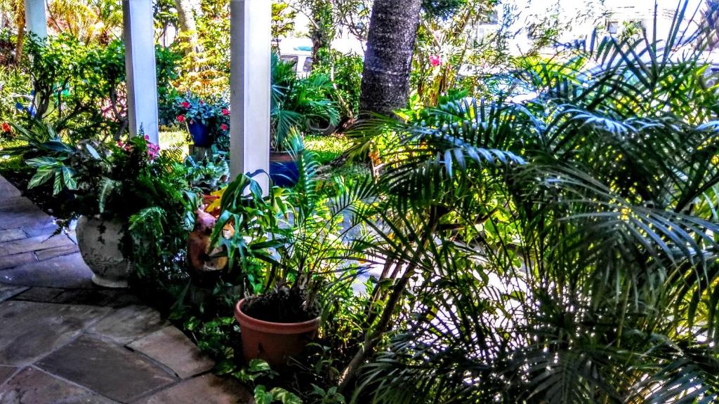 Boca Ciega Bay Apartment photo