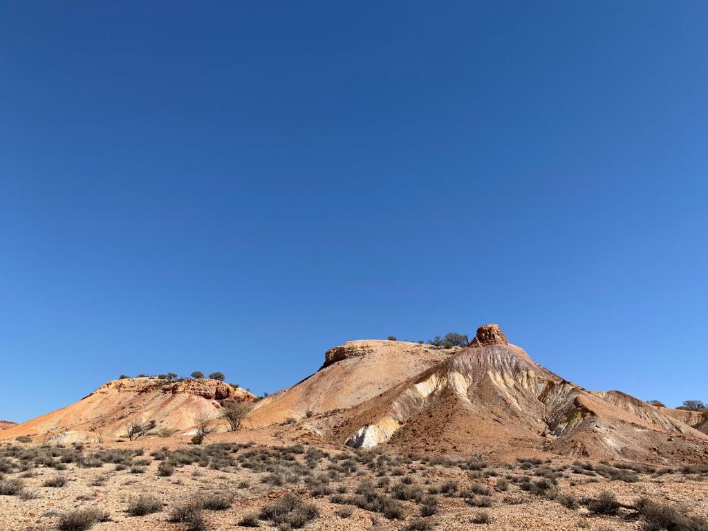 周辺観光スポット