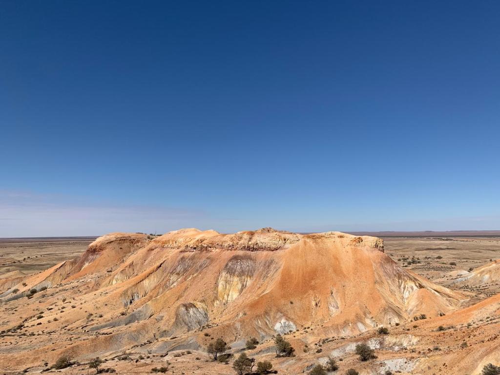 周辺観光スポット