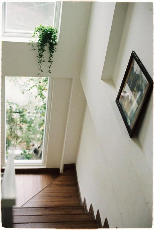 TUTU House photo