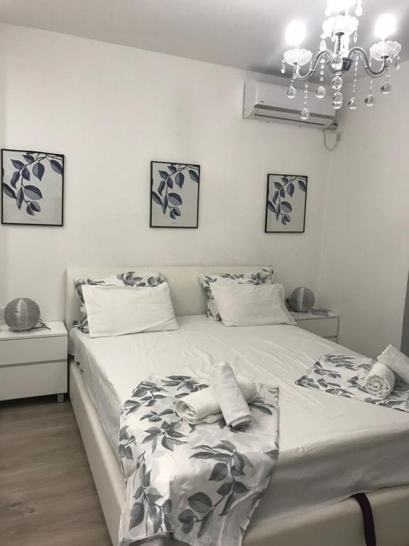 Studio Angel stan na dan Novi Sad - 5