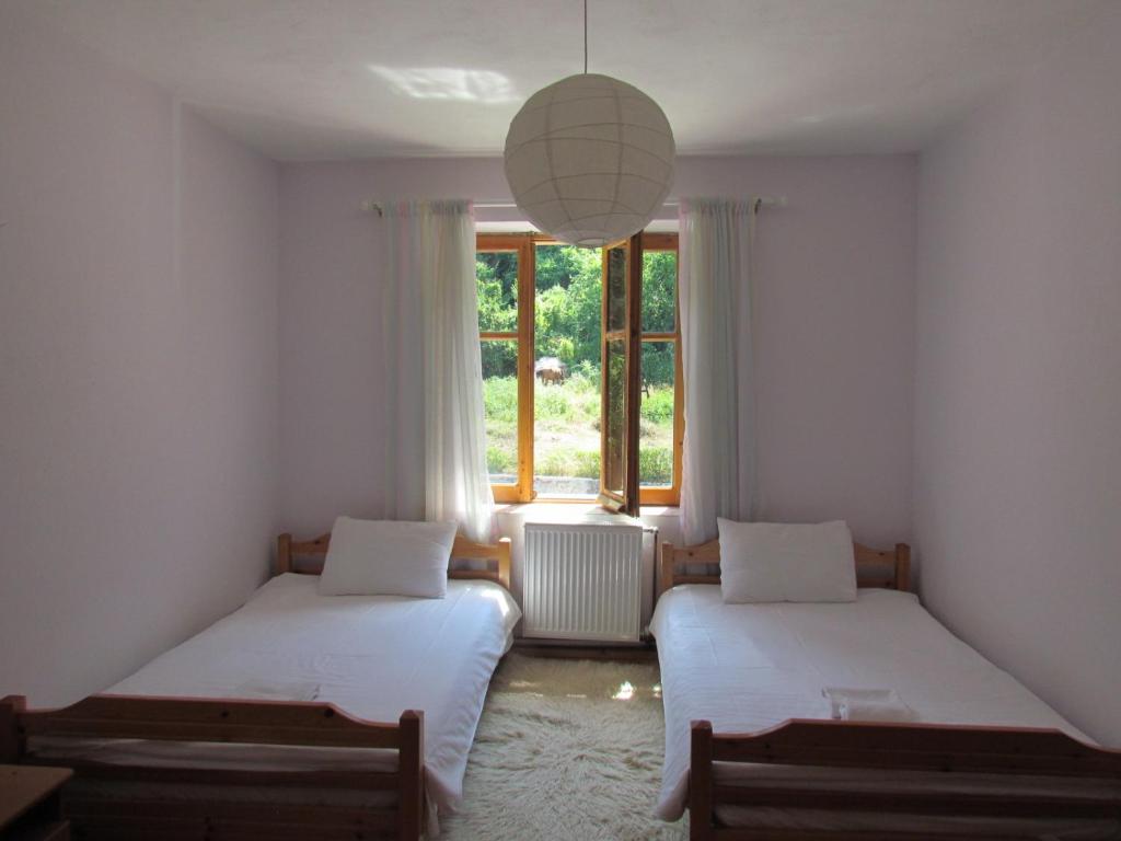 Hotel Germenji photo