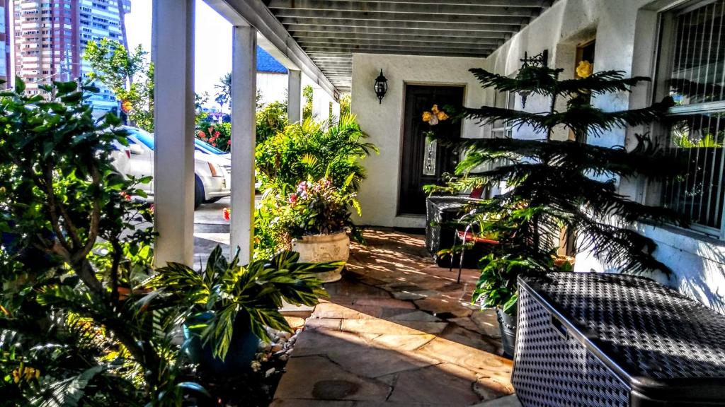 Boca Ciega Bay Apartment photo