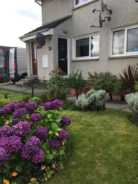 Highfield apartment photo