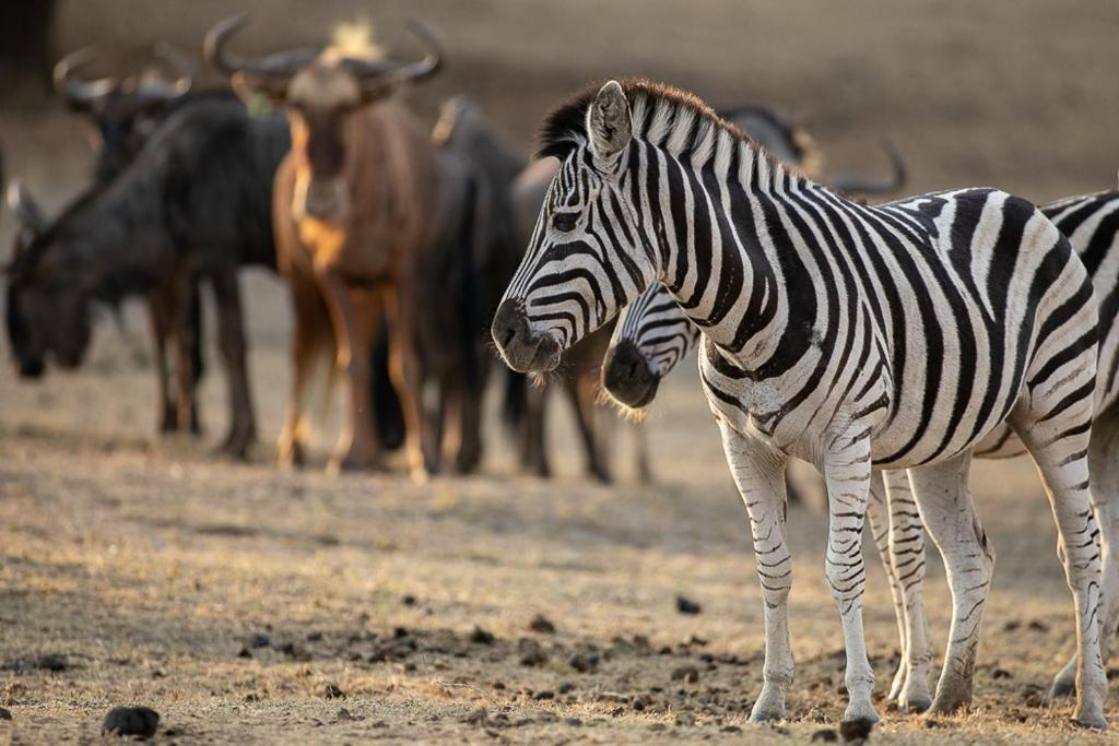 Kiyala Guest Farm photo