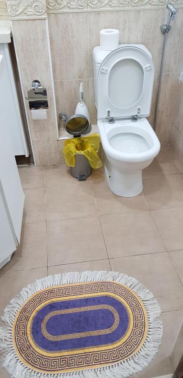 Crown Deluxe Apartment on Nizami Street photo