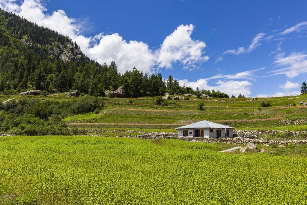 Zostel Homes Rakchham (Kinnaur/Sangla/Chitkul) photo