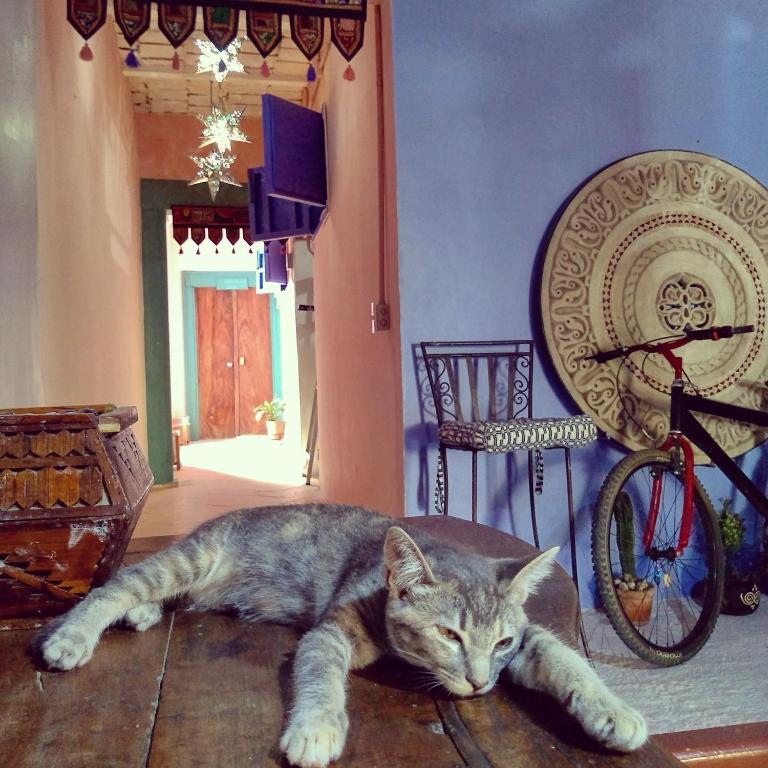 Lola Atlachinolli photo
