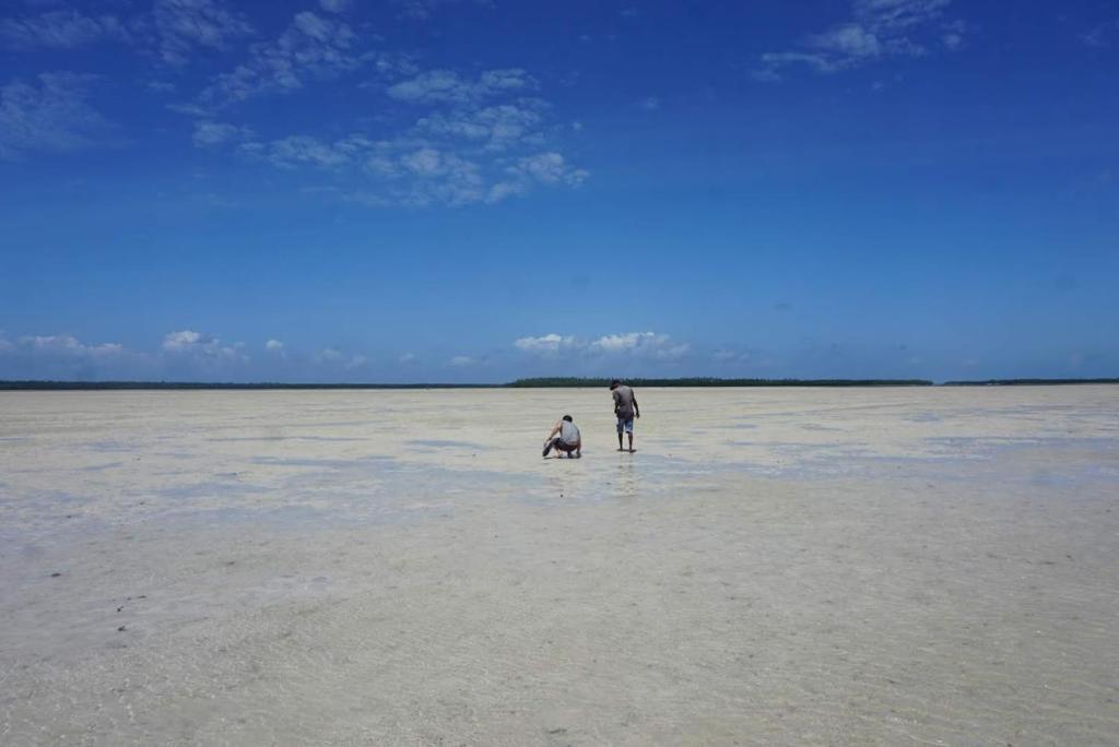 Mida Creek Nature Camp photo