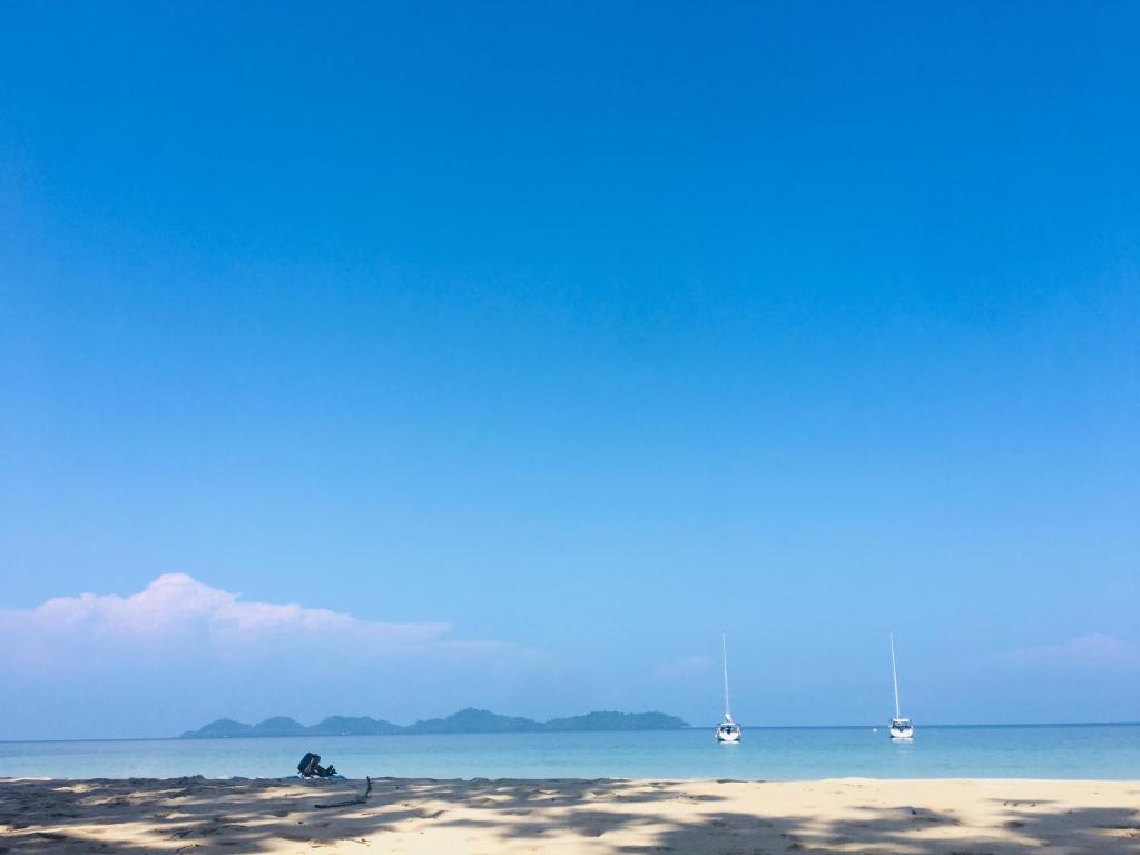 周辺案内