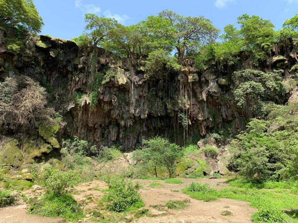 Surrounding environment