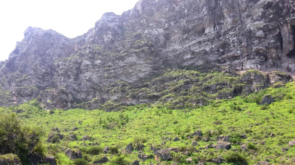 Surrounding environment