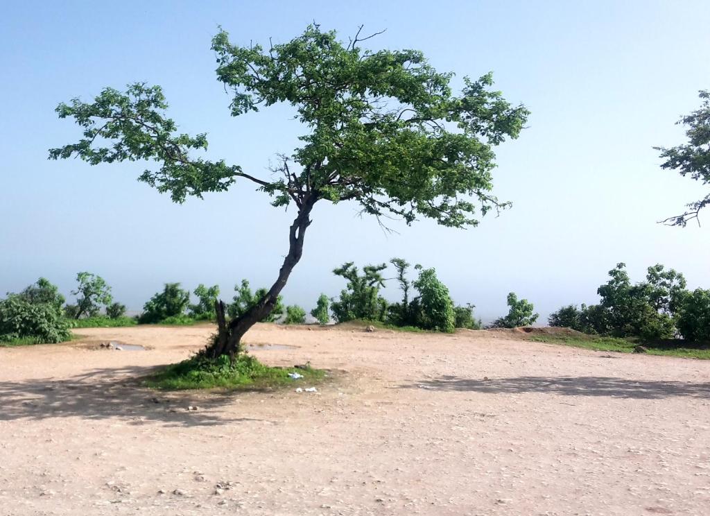 Surrounding environment