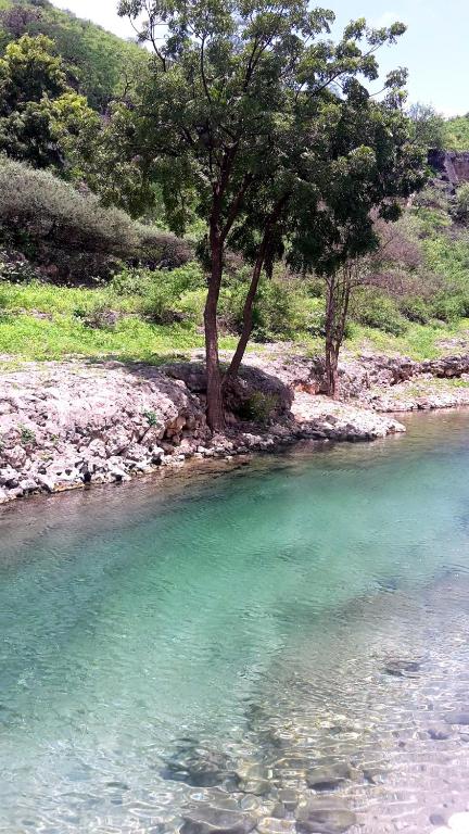 Surrounding environment