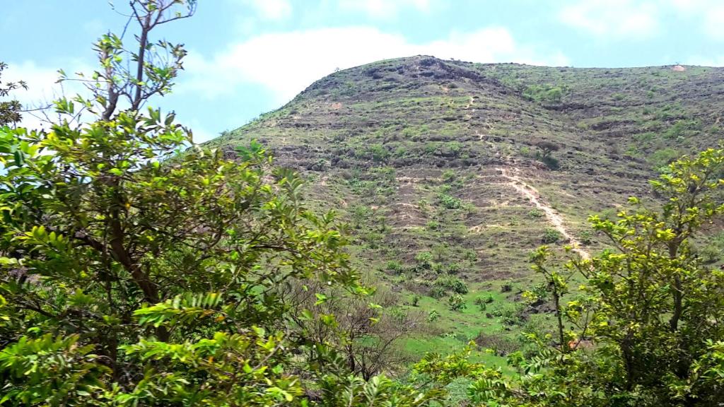 Surrounding environment