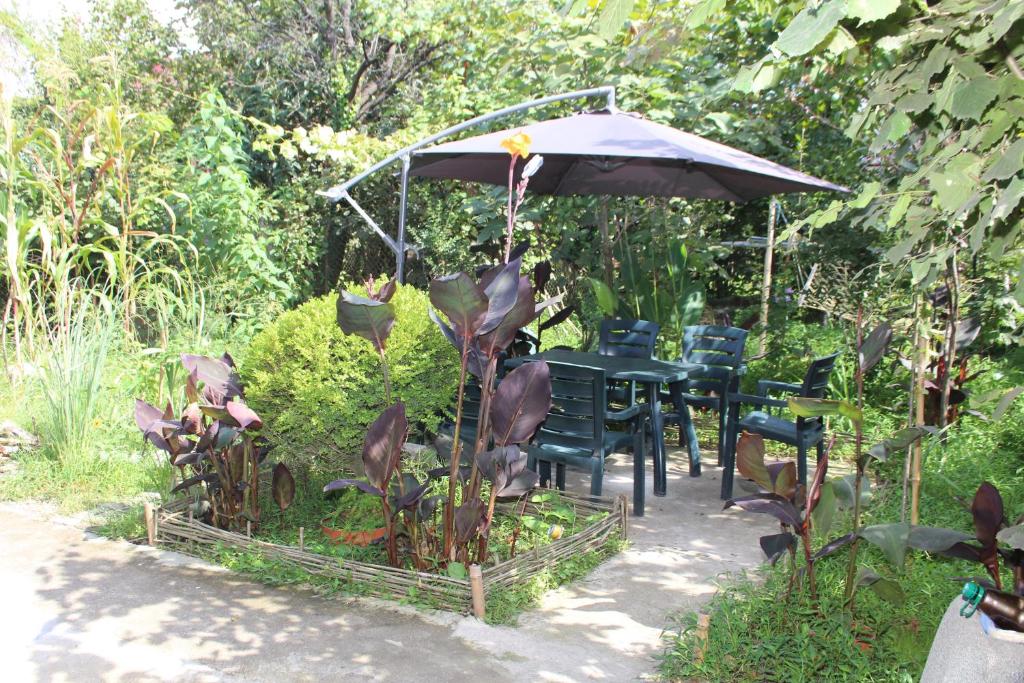 Guest House Barbi — Hotel in Batumi