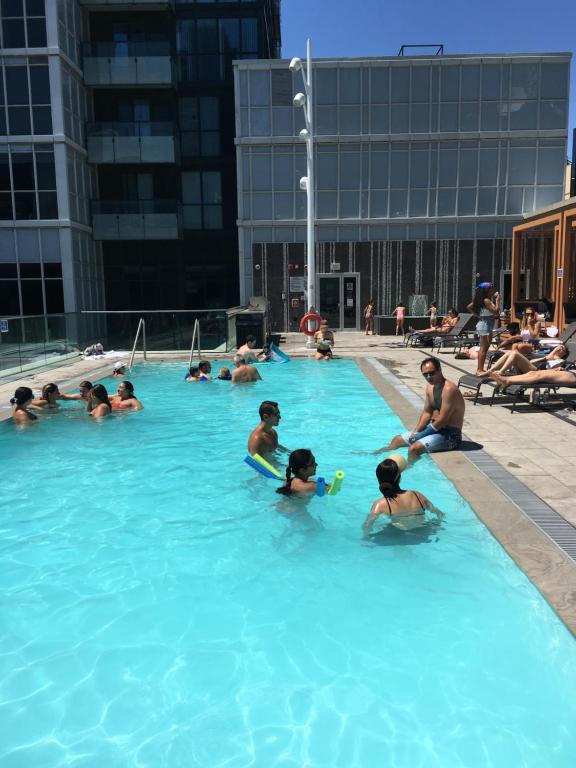 Luxury Adventure CN Tower/MTCC/Scotiabank Arena photo