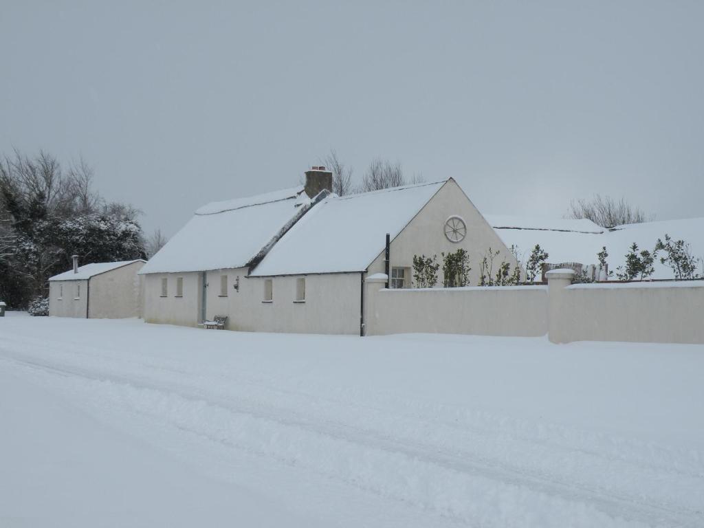 The Thatch