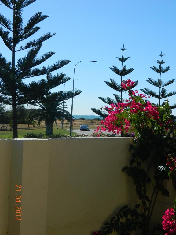 Champion Bay Apartments photo