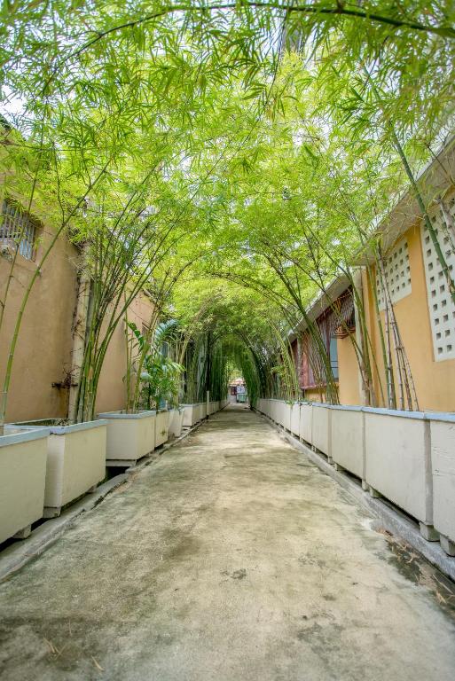 Surrounding environment