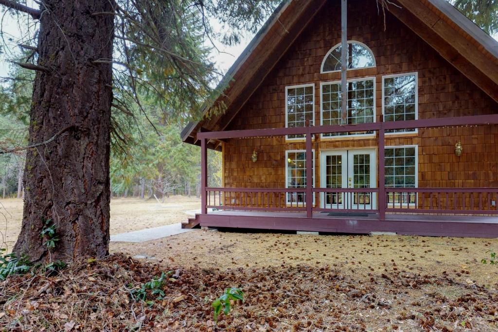 Paradise Found, Plain