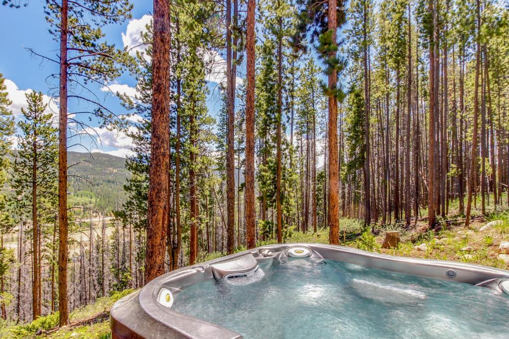 Snowstorm, Breckenridge