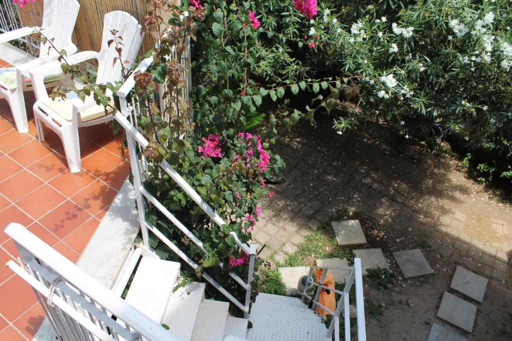 DaRiMaPa House - 4