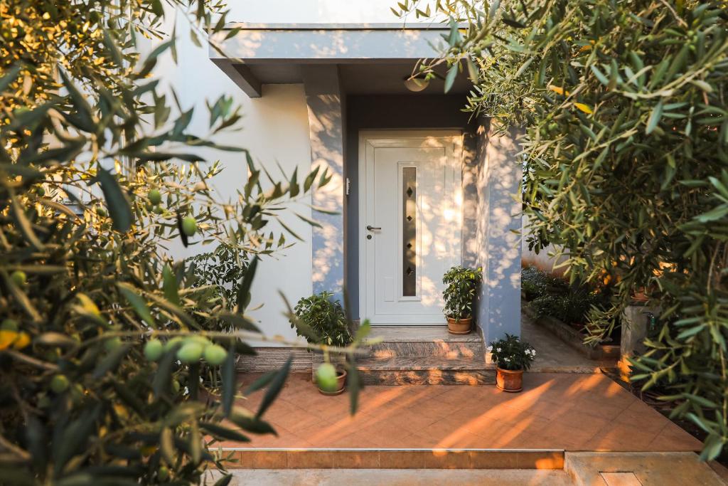 Apartman Antisin, Zadar