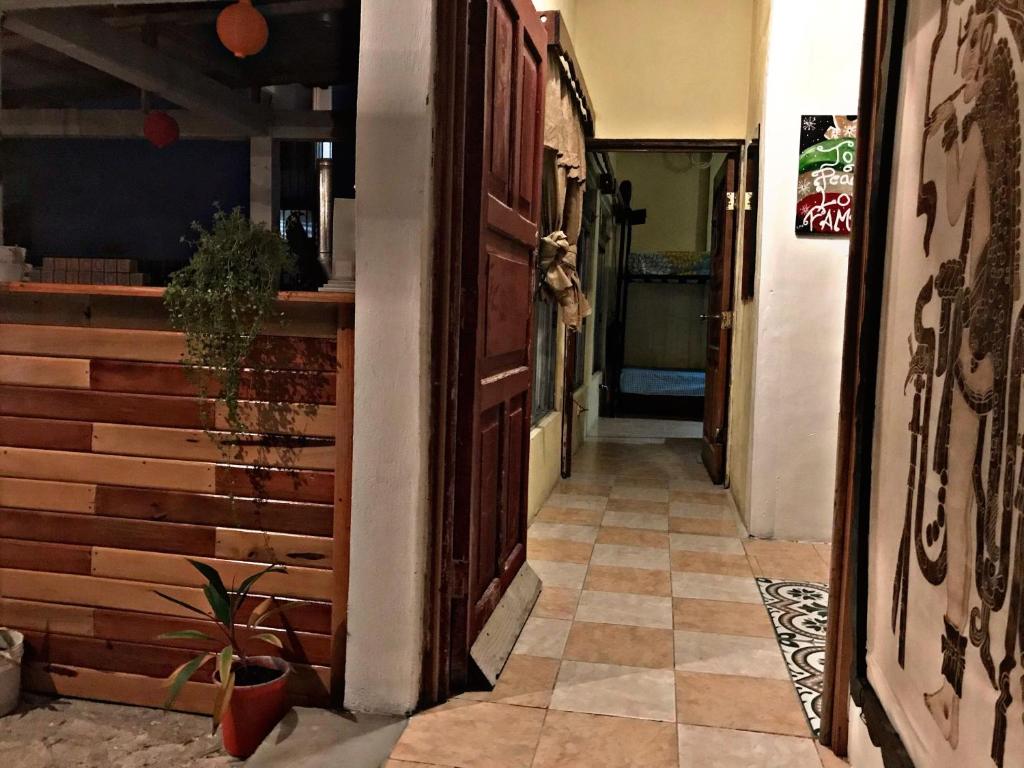 La Terraza Hostel photo