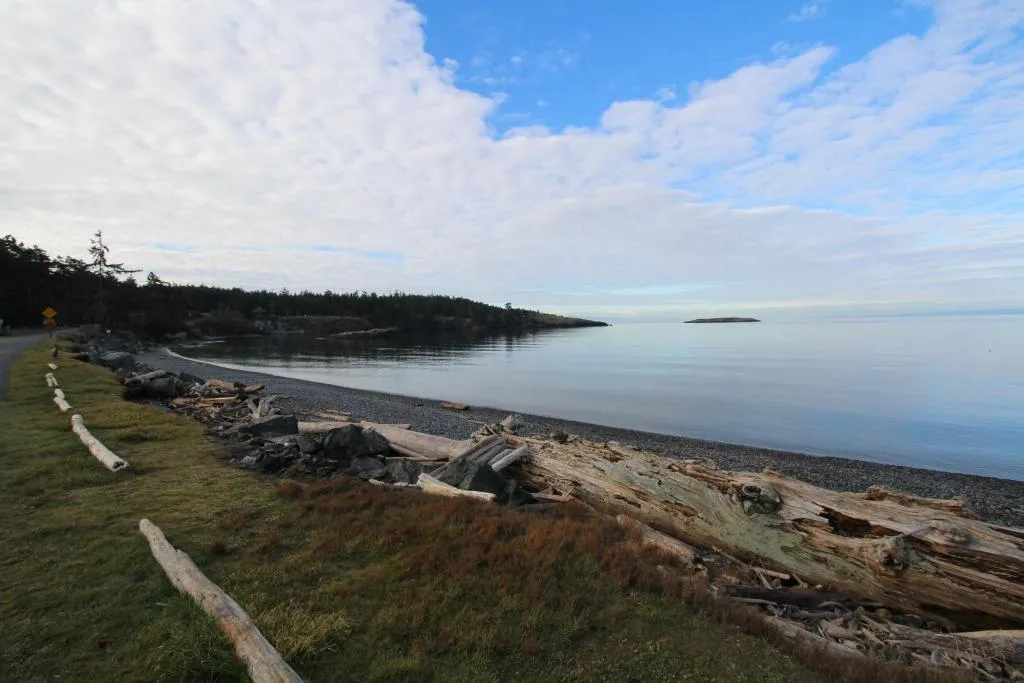 Lopez Island Agate Beach Waterfront Home，位于Islandale的酒店