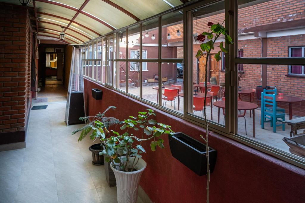 Tonito Hotel photo