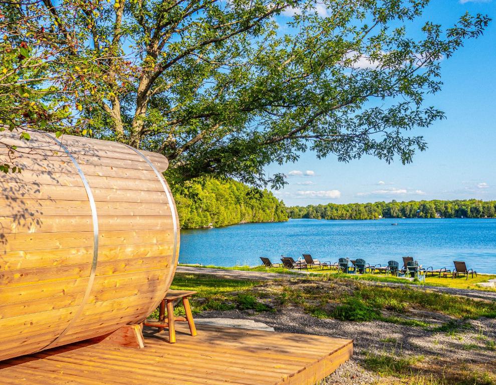 The Trace at Oak Lake (19+) photo