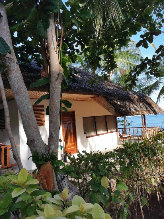 Surrounding environment