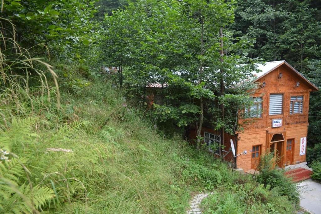 AYDER Nazlı cicek apart photo