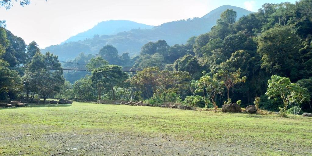 Surrounding environment