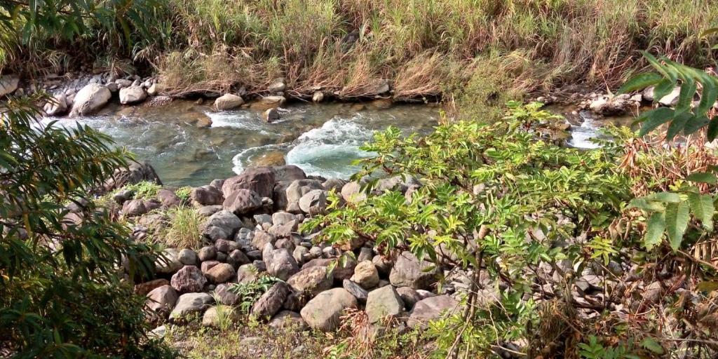 Surrounding environment