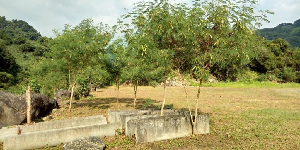 Surrounding environment