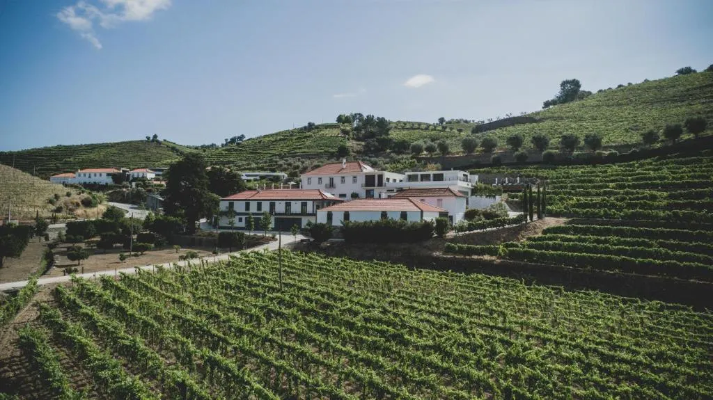 Casal dos Capelinhos - Douro, hotel in Santa Marta de Penaguião