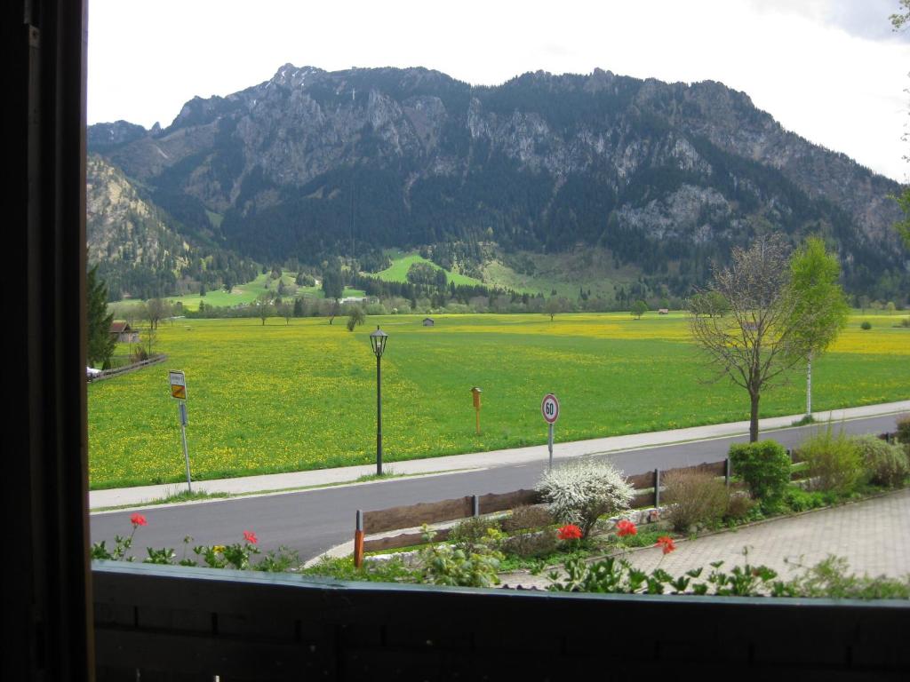 Haus Moni photo
