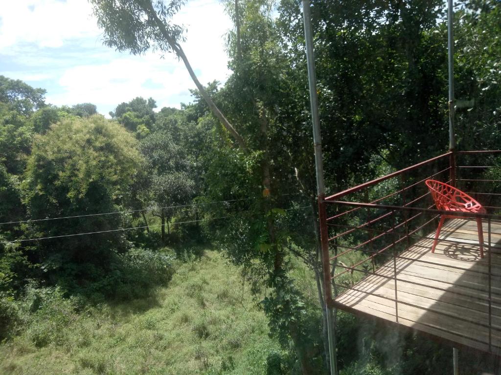 Jungle cottage photo