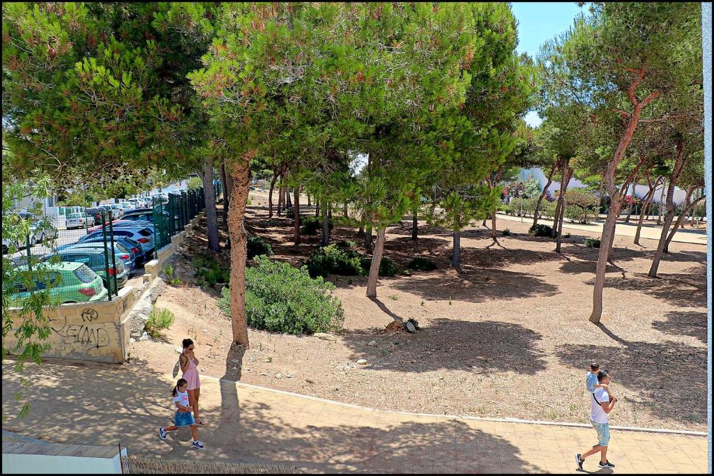 Apartamento Parque la Atalaya - 3