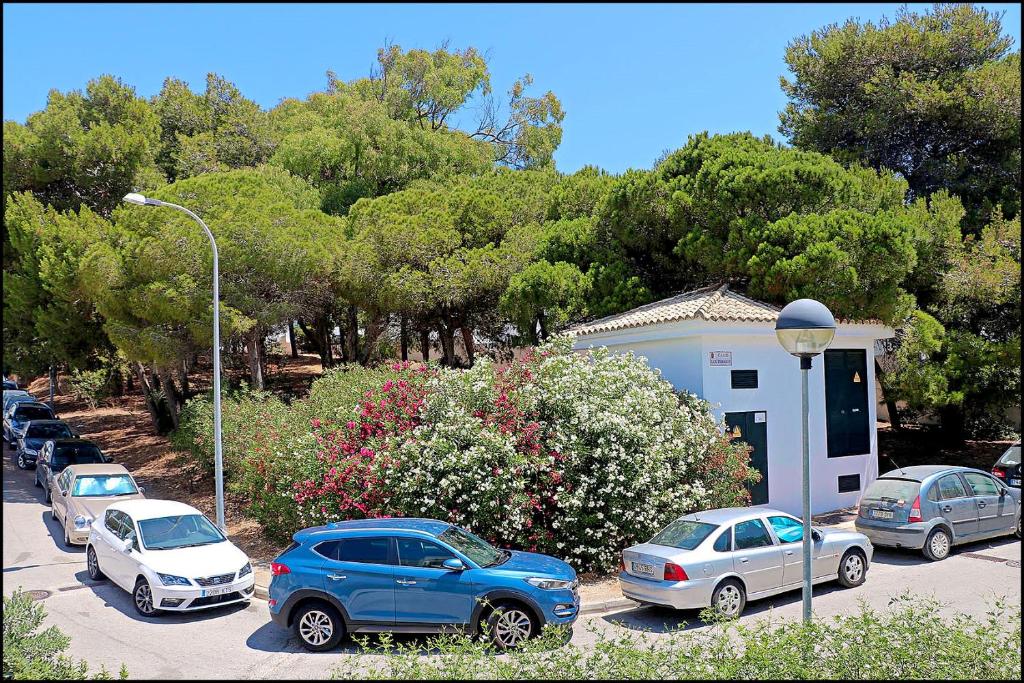 Apartamento Parque la Atalaya - 4